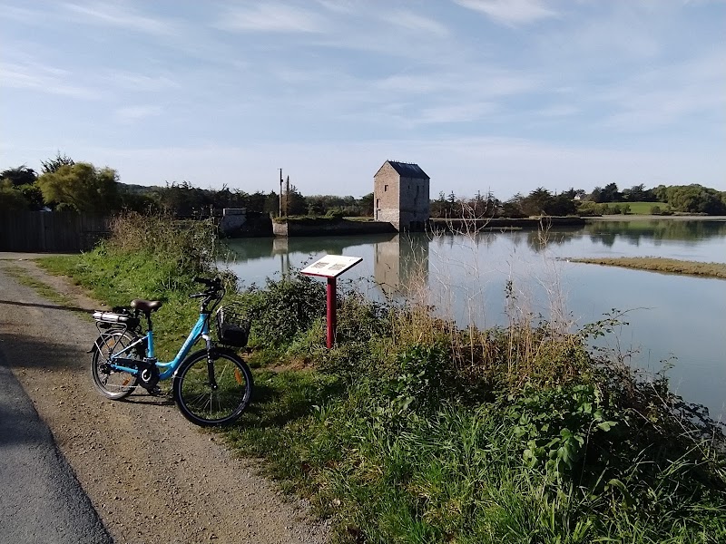 Location de vélos pour explorer Saint-Malo – Vélo Émeraude, Avenue Aristide Briand, 35400 Saint-Malo (photo 3)