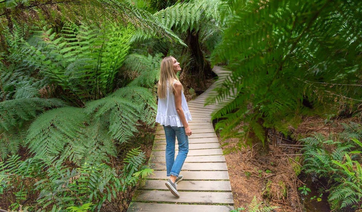 Maits Rest Rainforest Walk – Maits Rest, Great Otway National Park (photo 1)
