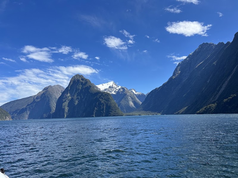 Milford Sound Eco Cruise Day Trip – Milford Sound, Fiordland, Nouvelle-Zélande (photo 2)
