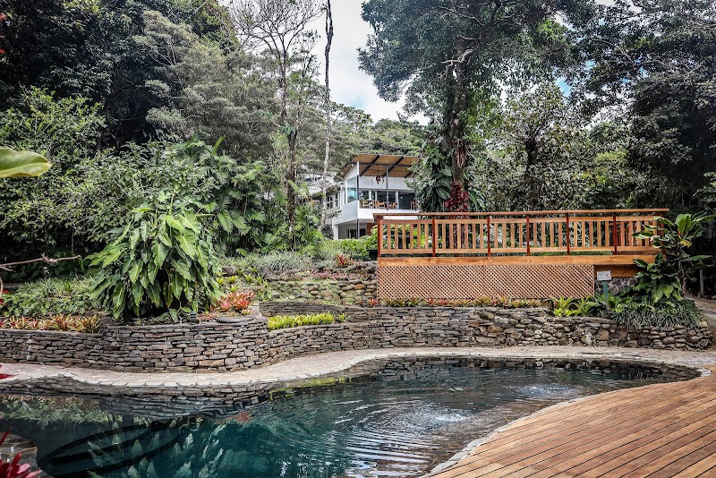 Monteverde Lodge – Monteverde (photo 3)