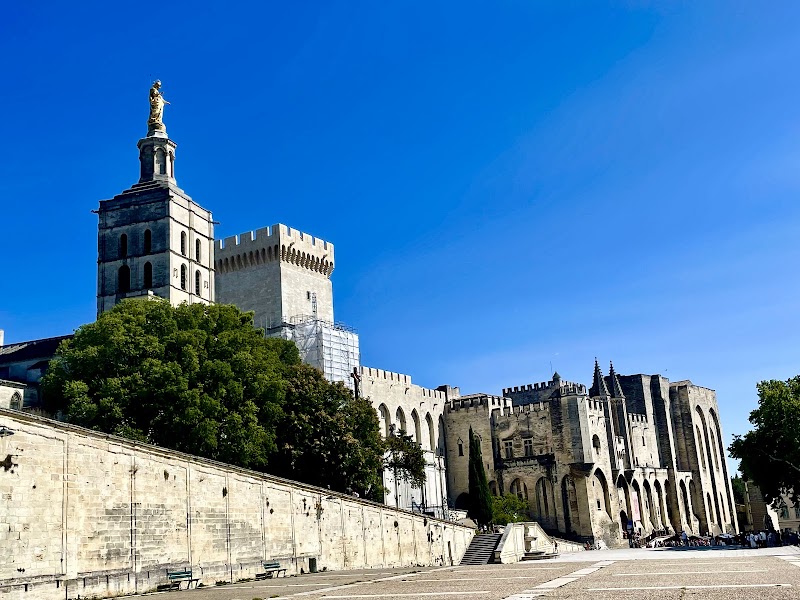 Musée du Petit Palais – Musée du Petit Palais, Place du Palais des Papes, 84000 Avignon (photo 2)