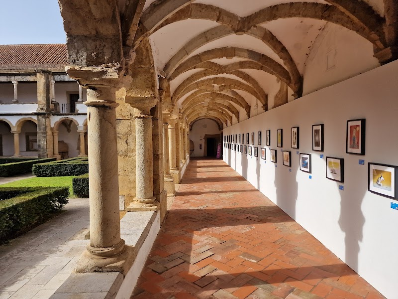 Musée Municipal de Faro – Largo Dom Afonso III, Vila Adentro, Faro (photo 3)