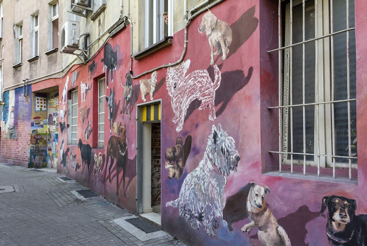 Nadodrze Street Art Exploration – Nadodrze, Wroclaw (photo 1)