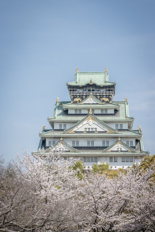 Nishinomaru Garden - Cerisiers – Chuo Ward, Osaka (photo 1)