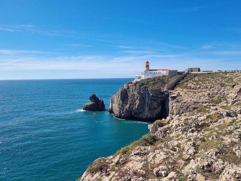 Observation faune (cigognes, rapaces côtiers) – Falaises entre Almograve et Zambujeira (photo 2)