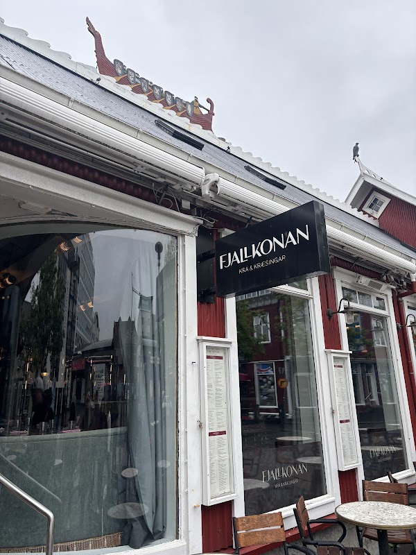 Observation marché et achats alimentaires – Reykjavik (photo 2)