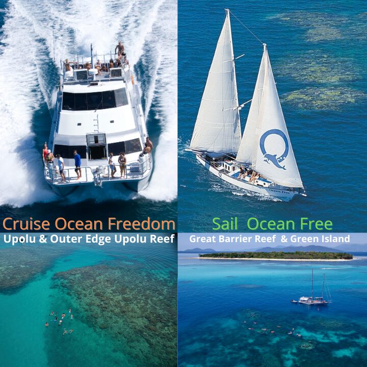 Ocean Free & Ocean Freedom - Cairns Premier Great Barrier Reef & Island Tours – Cairns Marina, 1 Spence St, Cairns City QLD 4870, Australia (photo 1)