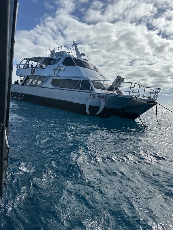 Ocean Free & Ocean Freedom - Cairns Premier Great Barrier Reef & Island Tours – Cairns Marina, 1 Spence St, Cairns City QLD 4870, Australia (photo 3)