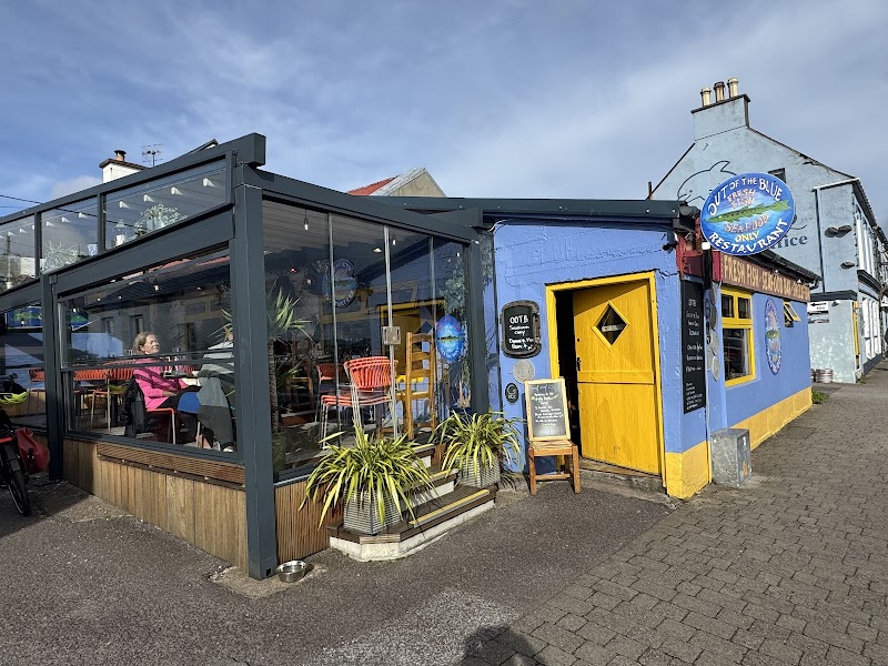 Out of the Blue Seafood – Waterside, Dingle, County Kerry, Irlande (photo 3)