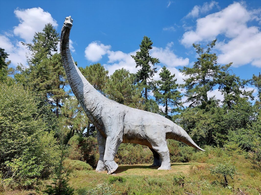 Parc de Préhistoire de Bretagne – La Croix Neuve, 56220 Malansac (photo 1)
