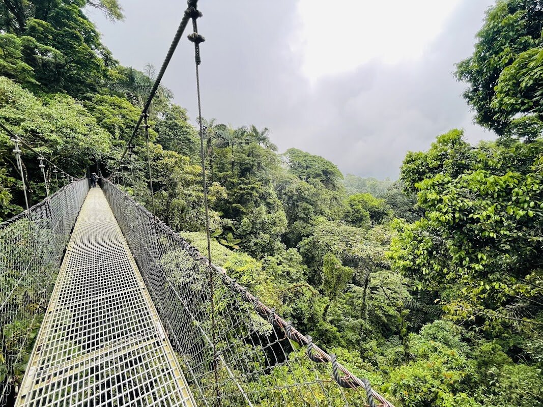 Parc des Ponts Suspendus Mistico Arenal – Mistico Arenal Hanging Bridges, La Fortuna (photo 1)