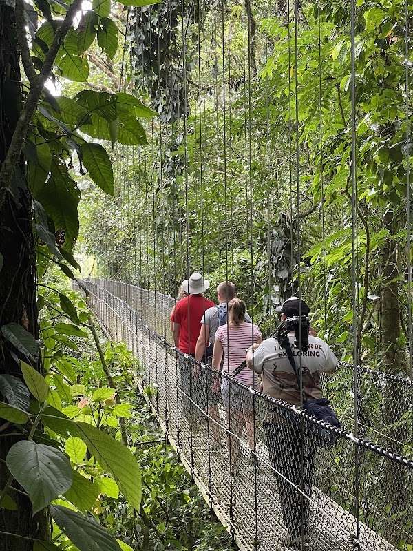Parc des Ponts Suspendus Mistico Arenal – Mistico Arenal Hanging Bridges, La Fortuna (photo 2)