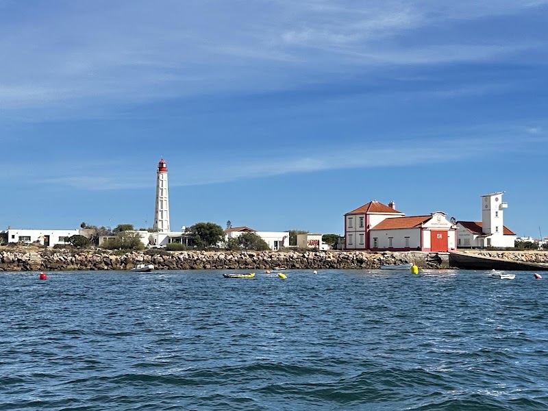 Parc Naturel Ria Formosa - Croisière complète – Marina de Faro (photo 3)
