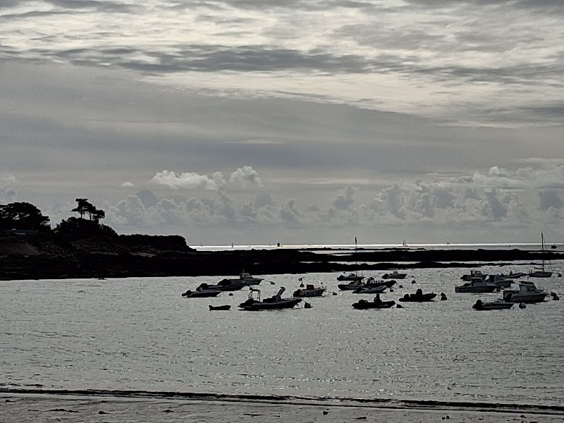 Pêche à pied à marée basse – Plage de l’Anse du Stole, Ploemeur (photo 2)