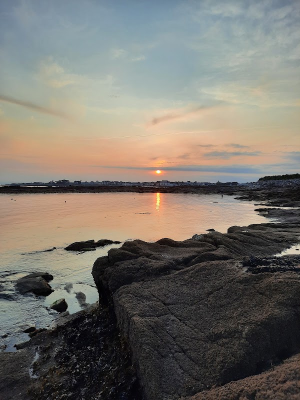 Pêche à pied à marée basse – Plage de l’Anse du Stole, Ploemeur (photo 3)