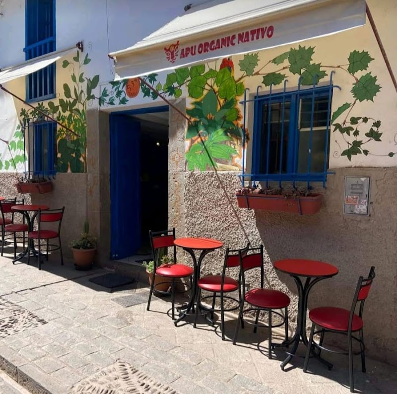 Perumanta Vegan Pisac – Pisac, Vallée Sacrée (photo 3)