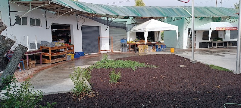 Marché Local – Puerto Villamil, Isabela (photo 3)