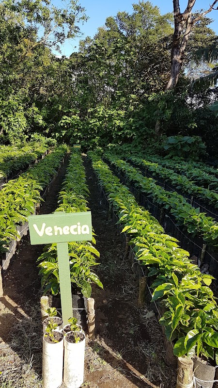 Café Monteverde – Monteverde, Costa Rica (photo 2)