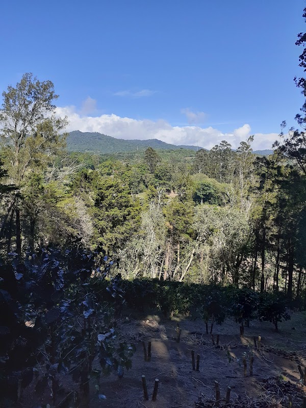 Café Monteverde – Monteverde, Costa Rica (photo 3)