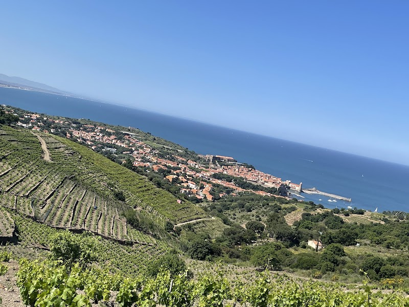 Petit Train Touristique de Collioure – Départ du centre de Collioure (photo 2)