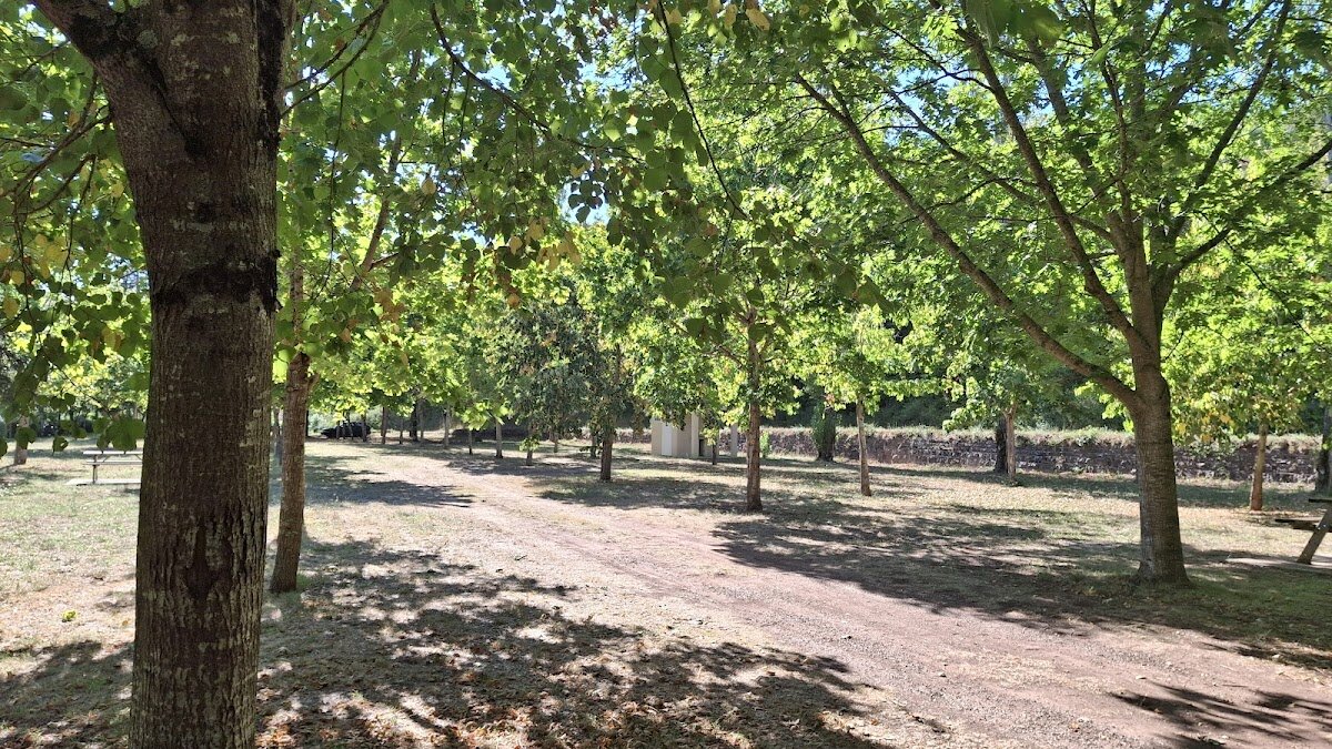 Pique-nique avec produits de marché – Parc parisien (photo 1)
