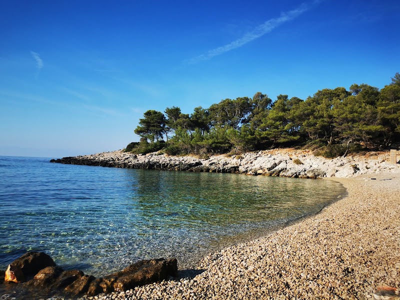 Plage Dalmatova – Dalmatova Beach, Hvar (photo 2)