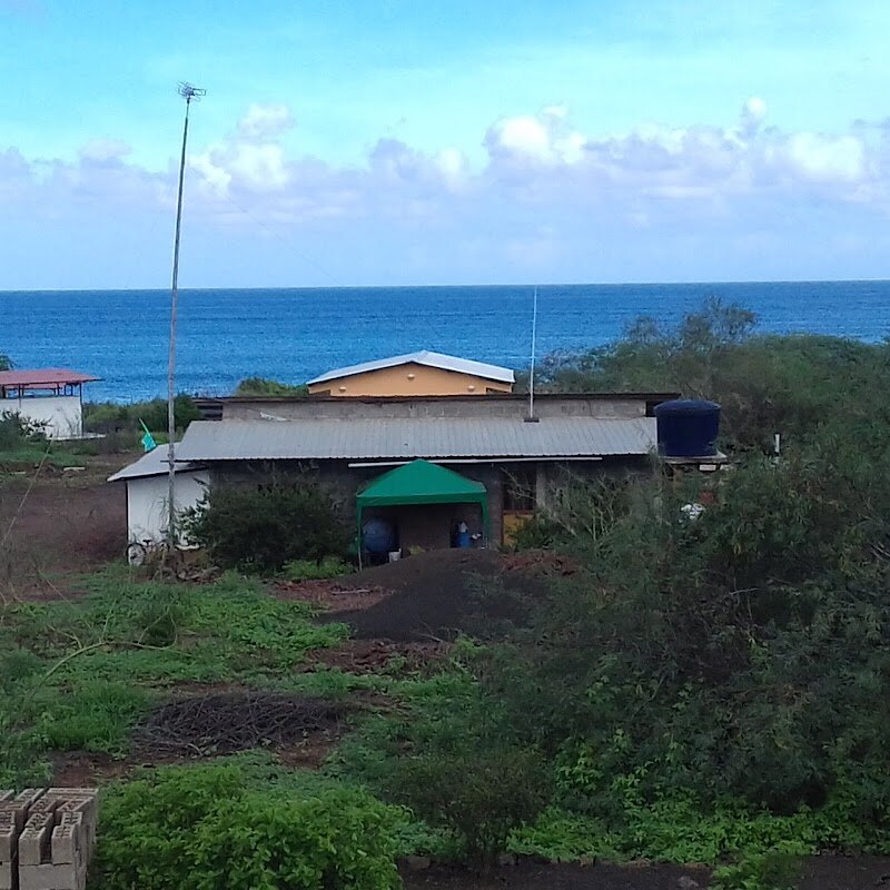 Plongée Floreana Island (2 immersions) – Île Floreana, Galápagos (photo 1)
