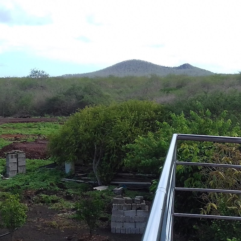 Plongée Floreana Island (2 immersions) – Île Floreana, Galápagos (photo 2)