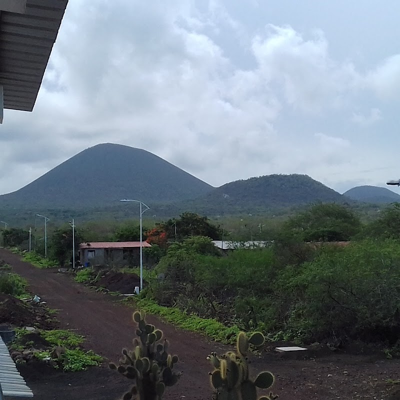 Plongée Floreana Island (2 immersions) – Île Floreana, Galápagos (photo 3)