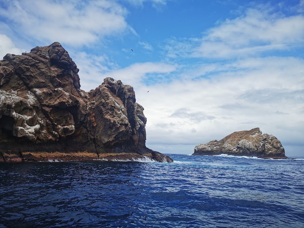 Plongée Gordon Rocks (2 immersions) – Gordon Rocks, Santa Cruz, Galápagos (photo 1)