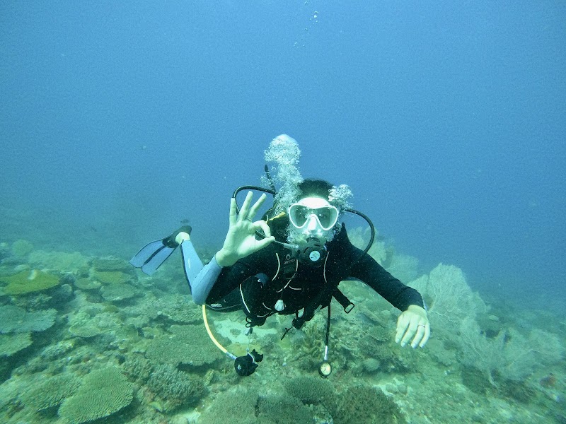 Plongée masque-tuba réserve Nosy Ve – Anakao (photo 2)