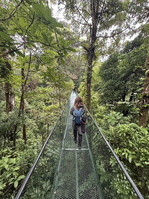 Ponts suspendus Sky Walk Monteverde – Sky Walk Monteverde, Monteverde (photo 2)