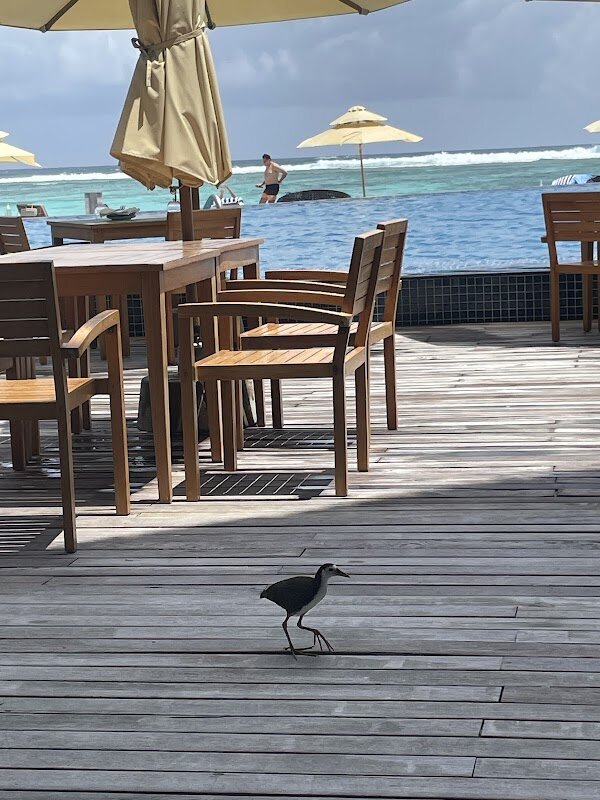 Private Beach Dinner – Private Beach Setup, Maldives (photo 1)