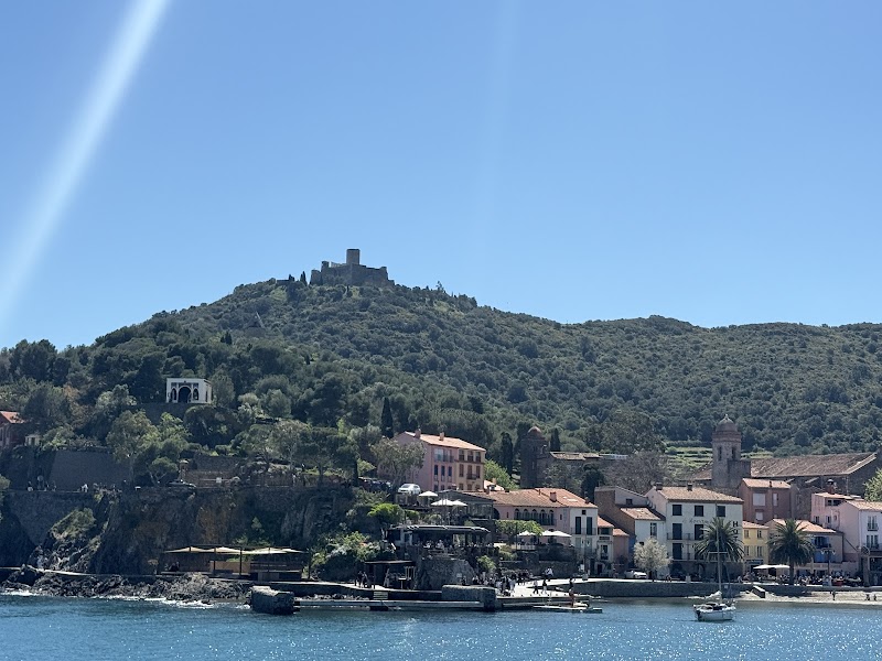 Promenade en Mer vers le Cap Béar – Port de Collioure, Collioure (photo 2)
