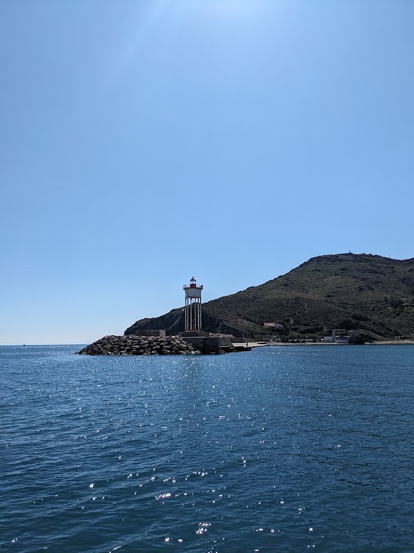 Promenade en Mer vers le Cap Béar – Port de Collioure, Collioure (photo 3)
