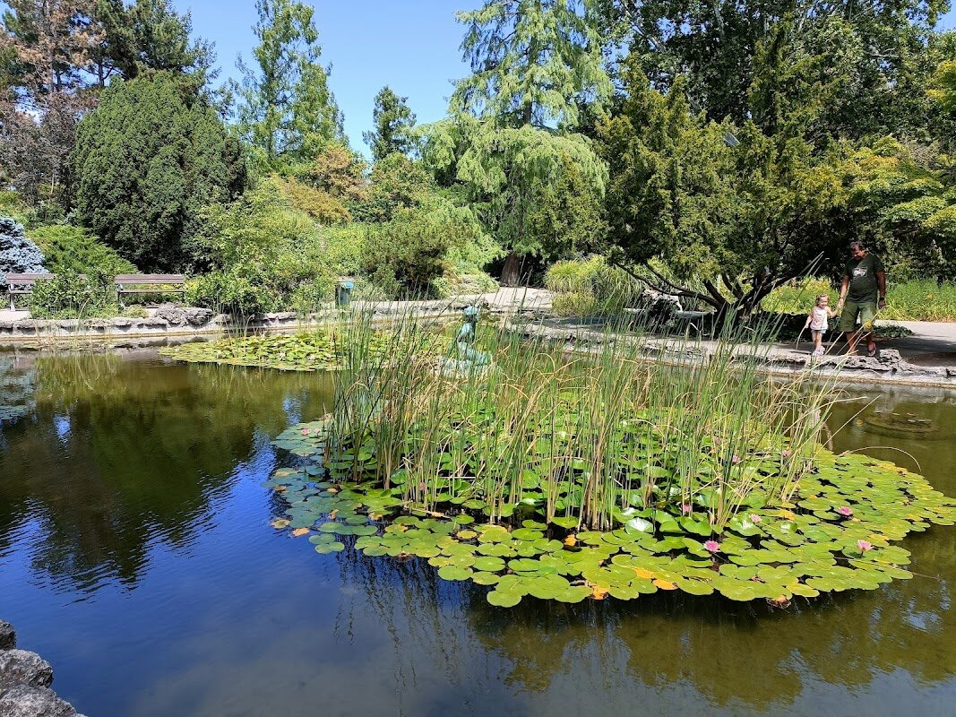 Promenade Île Margaret et jardin japonais – Margit Sziget, Budapest (photo 1)