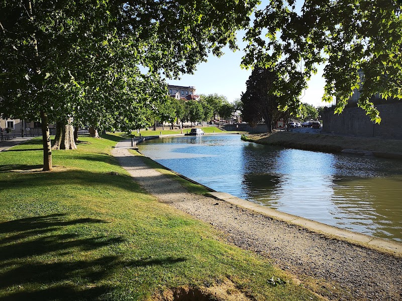 Promenade le long du Canal du Midi – Canal du Midi, Port de Carcassonne (photo 2)