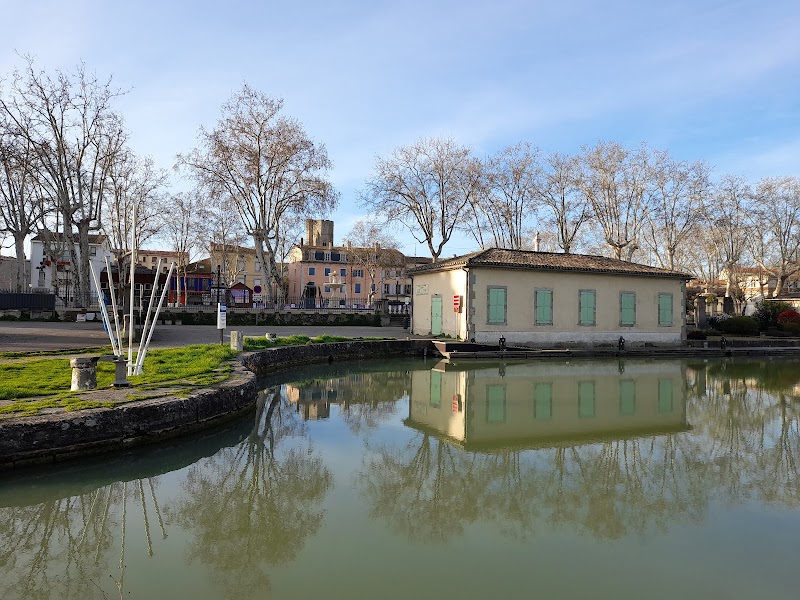 Promenade le long du Canal du Midi – Canal du Midi, Port de Carcassonne (photo 3)