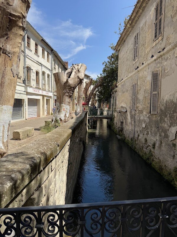 Promenade sur la Rue des Teinturiers – Rue des Teinturiers, 84000 Avignon (photo 1)