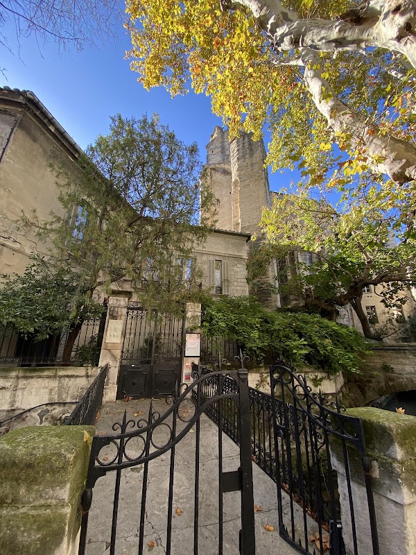 Promenade sur la Rue des Teinturiers – Rue des Teinturiers, 84000 Avignon (photo 2)
