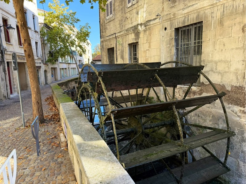 Promenade sur la Rue des Teinturiers – Rue des Teinturiers, 84000 Avignon (photo 3)