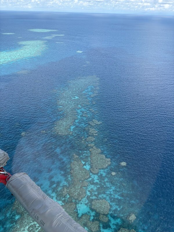 Quicksilver Cruises - Great Barrier Reef Full Day Tour – Port Douglas, QLD, Australie (photo 1)