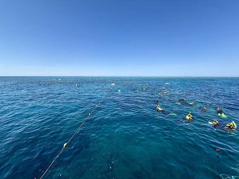 Quicksilver Cruises - Great Barrier Reef Full Day Tour – Port Douglas, QLD, Australie (photo 2)