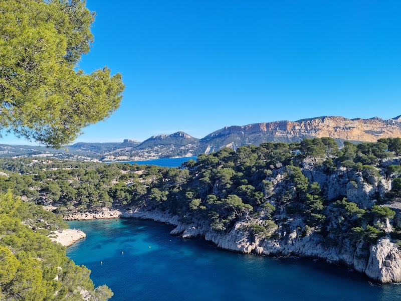 Randonnée dans les Calanques de Marseille – Parc National des Calanques, Avenue des Calanques, 13009 Marseille (photo 3)