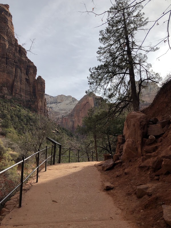 Randonnée Emerald Pools Trail – Zion Canyon, Utah (photo 2)