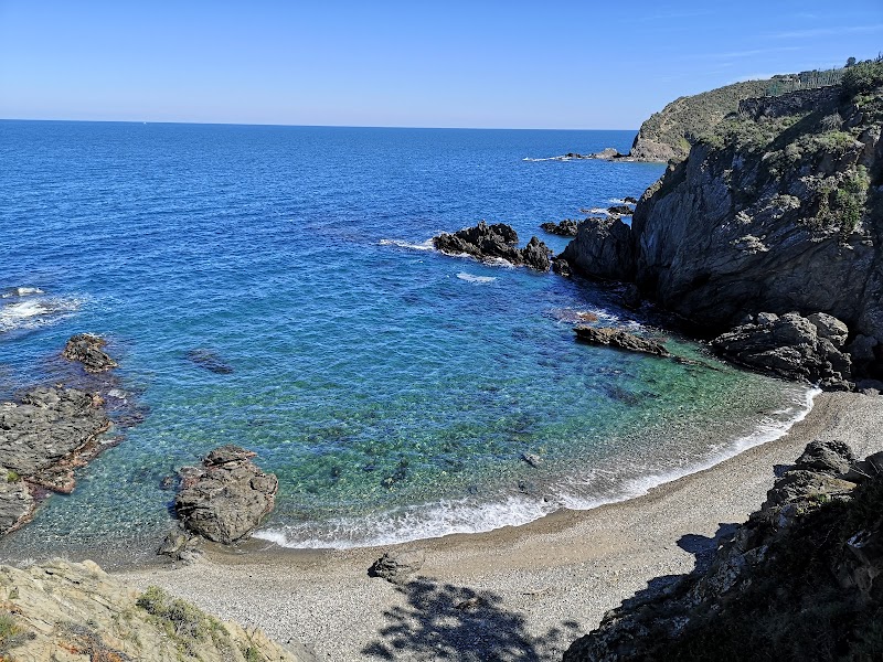 Randonnée Familiale sur le Sentier du Littoral – Départ du centre de Collioure (photo 2)