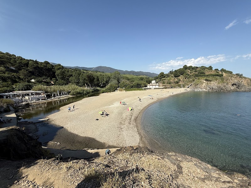 Randonnée Familiale sur le Sentier du Littoral – Départ du centre de Collioure (photo 3)