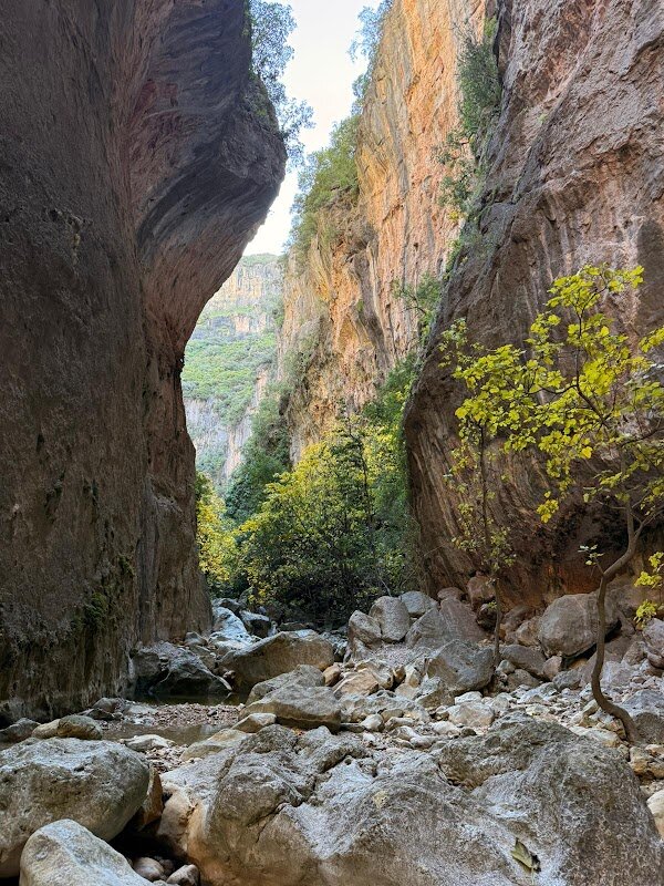 Randonnée Garganta Verde avec observation vautours – Zahara de la Sierra - Parc naturel Sierra de Grazalema (photo 1)