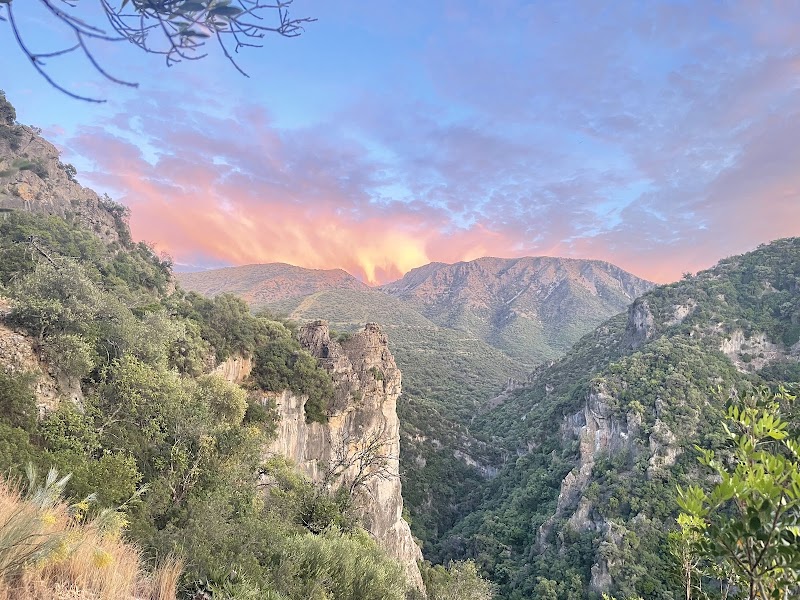Randonnée Garganta Verde avec observation vautours – Zahara de la Sierra - Parc naturel Sierra de Grazalema (photo 2)