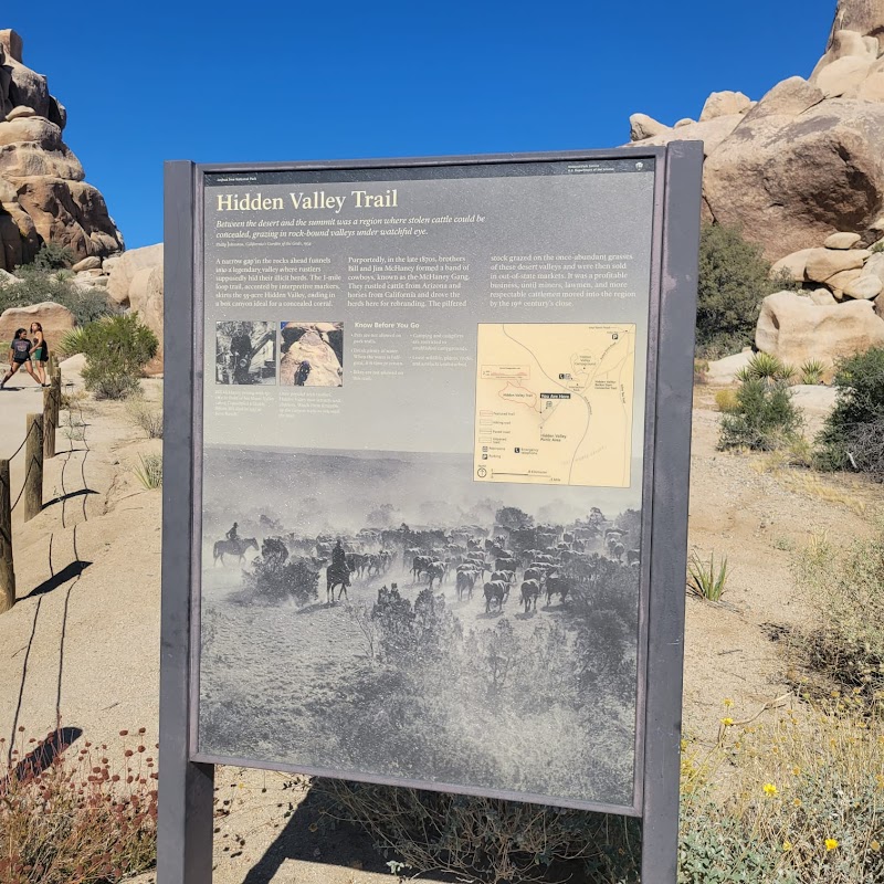 Randonnée Hidden Valley Nature Trail – Joshua Tree National Park, Californie (photo 2)